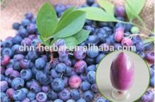 natural and blueberry juice powder