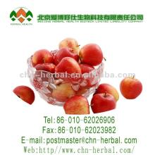 Cosmetology top quality healthy fruit juice pomes granade powder
