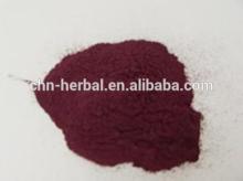natural and wild blueberry juice powder