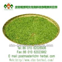 Quality pure  aroma   green   tea 