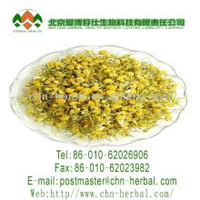kakoo  chamomile   green   tea  fresh  chamomile   tea   chamomile  benefits  tea  flavors