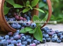 Natural  juice   powder  addtive blueberry  juice   powder /  peach   juice   powder 