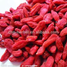 Chinese Wolfberry Goji Berry Organic Goji Berry