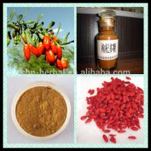 Factory Supply Pure Natural Goji Berry/Goji/Wolfberry