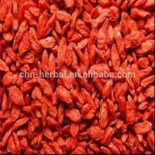 Natural dried and high quality China wolfberry,Ningxia dried wolfberry