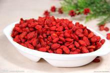 2014 new organic dried fruit goji berry