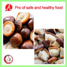High Quality Frozen Mushroom From China