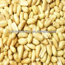 fresh   roast ed peanut