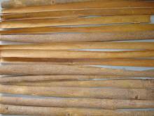 SPLIT CASSIA (CINNAMON)