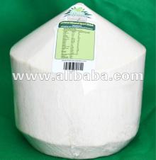 FRESH COCONUT