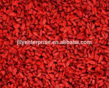 Hot Sale Wolfberry Medlar Dried Organic Goji Berry Import Goji berries /wolfberry A grade 2014