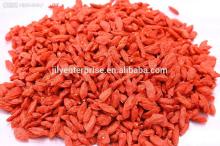  KOSHER   certified  goji berry/HACCP  certified  goji berry