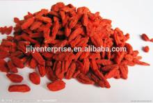  Instant   Snack   dried  goji berry with bulk packing and gift packing