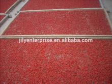 Organic Cultivation Type goji berry/Conventional cultivation type goji berry