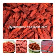 Chinese 2014 new Crops Ningxia Dried Goji Berry for wholesale