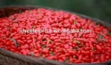 goji berries,wolfberry, lycium barbarum organic ningxia zhongning goji berries/organic dried goji be
