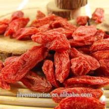 red medlar/wolfberry/red goji berry