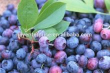 High quality Lingonberry Powder/frozen lingonberries fruit