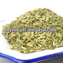  fennel  with good  quality , quality   fennel  seeds