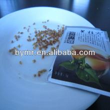 Fresh taste traditional product freeze driend tea
