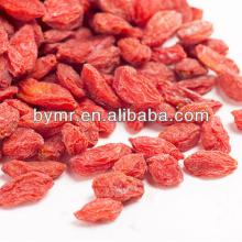 wolfberry