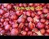FRESH RED ONION