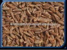 Cumin Seed