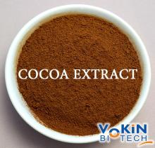 Theobromine 20% Cocoa Extract