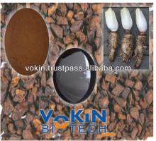 Instant Spray Dried French Chicory Powder