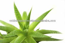 Natural Aloe Vera Leaf Extract