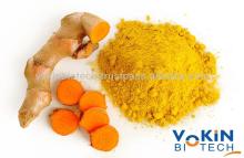 Curcumin extract 95%, Curcumin powder 95%, Factory Price Curcumin 95%