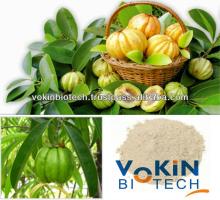 Halal Certified Garcinia Cambogia extract HPLC / Garcinia cambogia 70% HCA / GMP Garcinia Combogia C