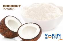 Halal Certified Coconut Powder from india