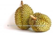 Durian Frozen