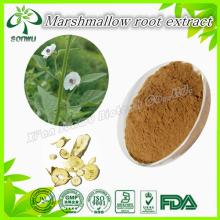 marshmallows root extract wholesale