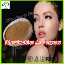 high quality 100% marshmallow leaf extrcat