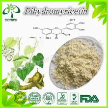 vine tea extract 98% dihydromyricetin extract