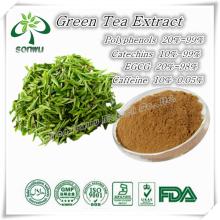 Green tea extract powder tea polyphenol