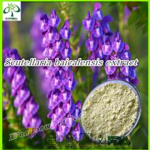 scutellaria baicalensis extract/scutellaria baicalensis p.e