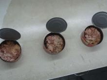  Canned   Tuna /  Sardine s