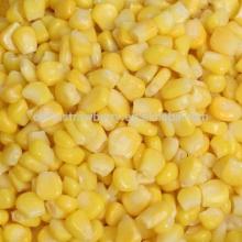  Frozen  and IQF  sweet   corn   kernel s  Frozen  HOT SALES