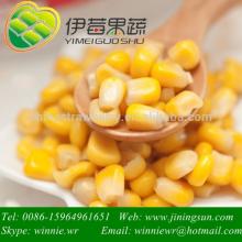 High Quality Frozen Sweet Corn