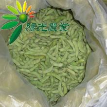 IQF GREEN SOYBEAN 2014 NEW CROP