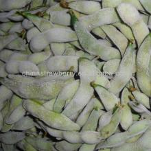  IQF   GREEN  SOYBEAN Frozen  green   soybeans 
