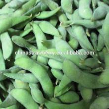 IQF soya bean