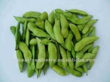 IQF soya beans