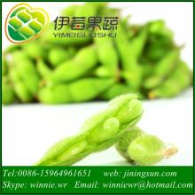 Frozen Green Soybean