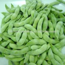 Frozen GREEN SOYBEANS 2014 NEW CROP
