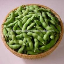 IQF GREEN Edamame Beans HOT SALES