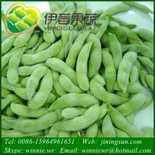 IQF GREEN SOYBEAN Frozen Edamame